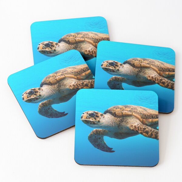 Item preview, Photograph of Sea Turtle in Crystal Blue Water designed and sold by ChelleCreate.