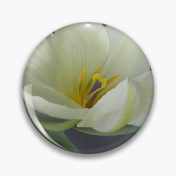 Item preview, Elegant White Tulip designed and sold by Kathleen Brant.