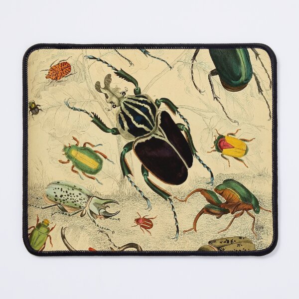Item preview, Vintage Beetles Illustration designed and sold by WeFLVintage.