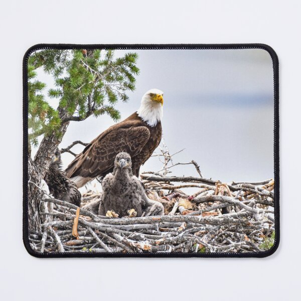 Item preview, "Mom, What's that Creature?" designed and sold by ImagesByMiranda.