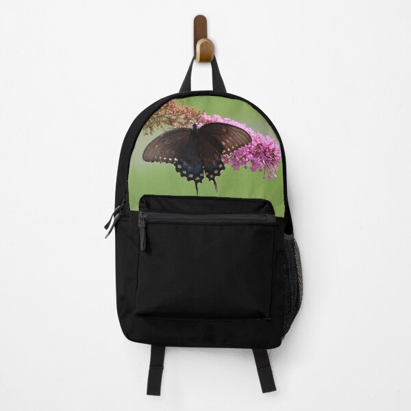 Item preview, Black Swallowtail designed and sold by LisaNaturePhoto.