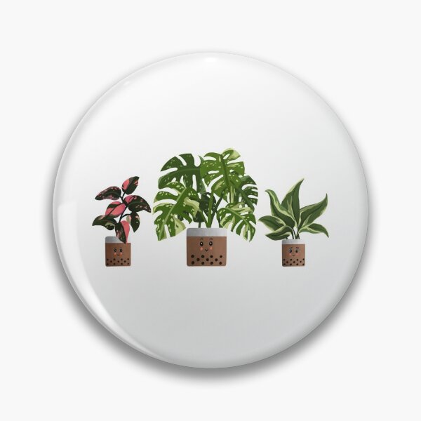 Item preview, Boba Trio of Plants | Philodendron Pink Princess | Monstera Thai Constellation | Philodendron Rio for Plant Lovers designed and sold by kusakidojo.