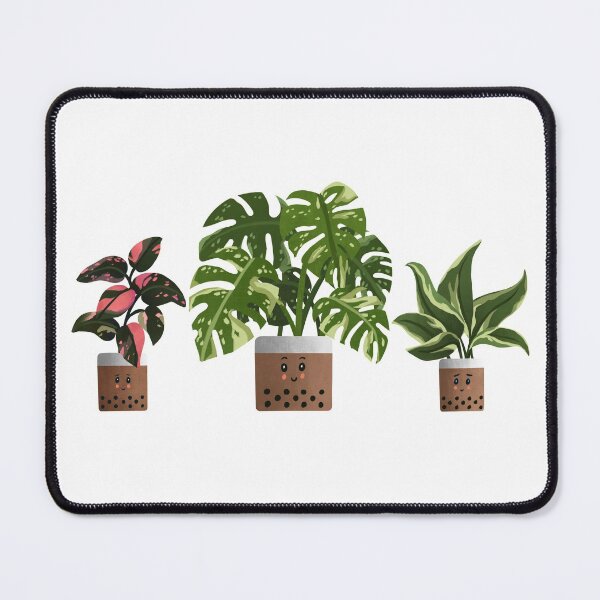 Item preview, Boba Trio of Plants | Philodendron Pink Princess | Monstera Thai Constellation | Philodendron Rio for Plant Lovers designed and sold by kusakidojo.