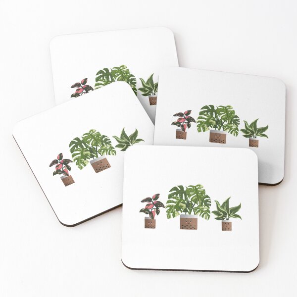 Item preview, Boba Trio of Plants | Philodendron Pink Princess | Monstera Thai Constellation | Philodendron Rio for Plant Lovers designed and sold by kusakidojo.