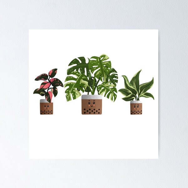 Item preview, Boba Trio of Plants | Philodendron Pink Princess | Monstera Thai Constellation | Philodendron Rio for Plant Lovers designed and sold by kusakidojo.
