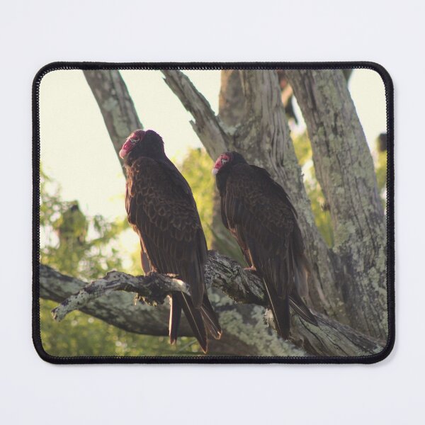 Item preview, Two of them designed and sold by Rhovanel.