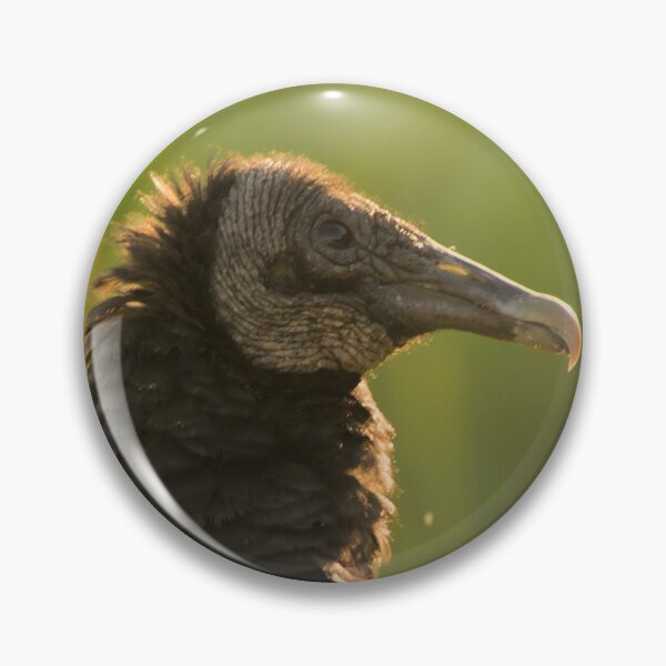 Item preview, Black Vulture - Enchantment designed and sold by Rhovanel.