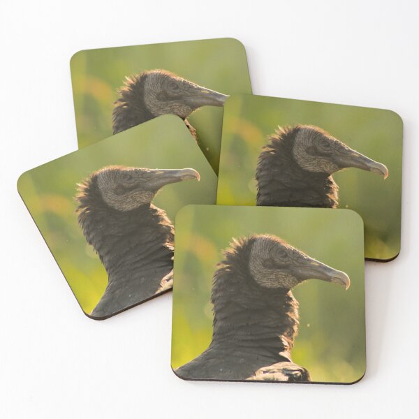 Item preview, Black Vulture - Enchantment designed and sold by Rhovanel.