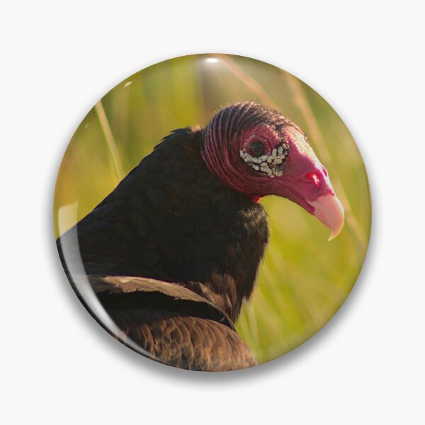 Item preview, Turkey Vulture Portrait designed and sold by Rhovanel.