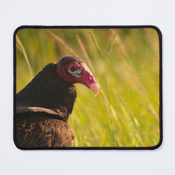 Item preview, Turkey Vulture Portrait designed and sold by Rhovanel.