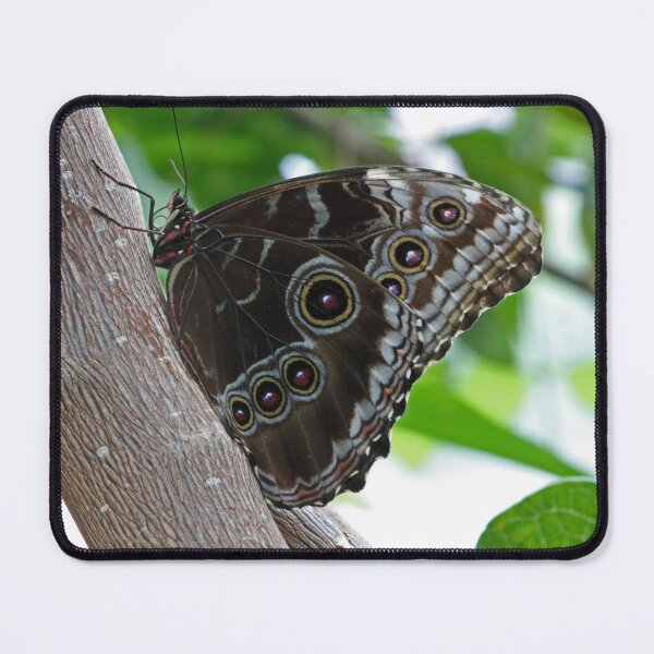 Item preview, Blue morpho butterfly designed and sold by rootedrender.