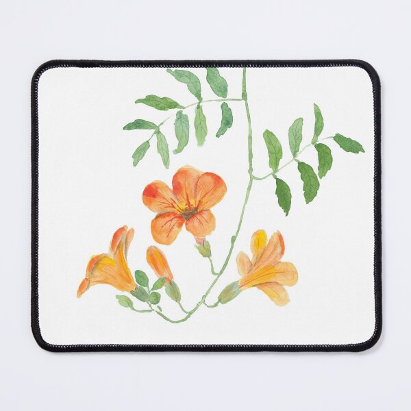 Item preview, hand painted orange trumpet vine watercolor  designed and sold by ColorandColor.