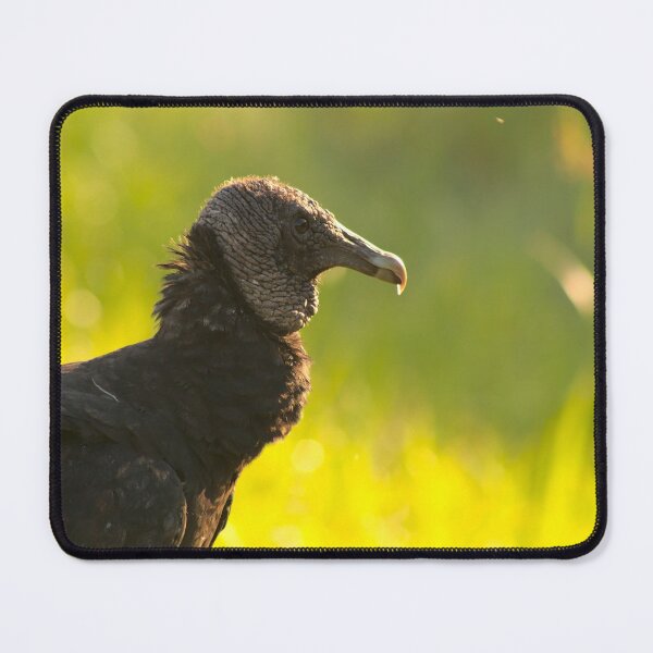 Item preview, Black Vulture Portrait designed and sold by Rhovanel.