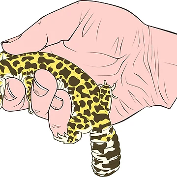 Artwork thumbnail, Leopard Gecko In Hand Design by AMackInCheese