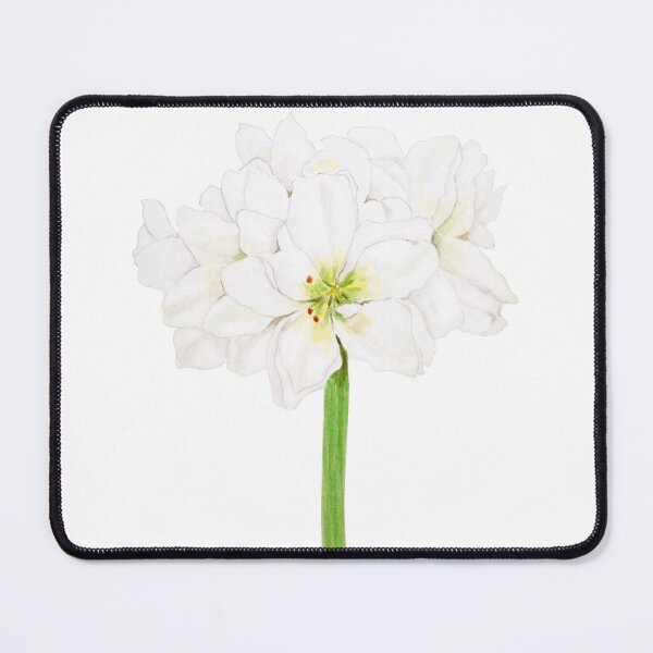 Item preview, hand painted white Amaryllis flowers watercolor  designed and sold by ColorandColor.