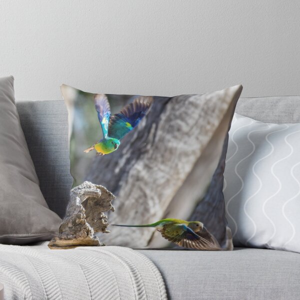 Item preview, Red-rumped parrots designed and sold by Ozjanette90.