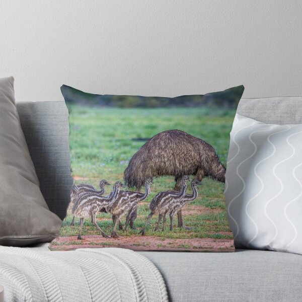 Item preview, Old Man Emu and Chicks designed and sold by Ozjanette90.