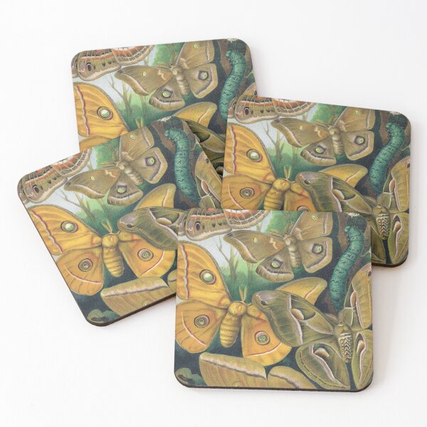 Item preview, Bombyx Mori Vintage Moths Illustration designed and sold by WeFLVintage.