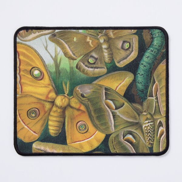 Item preview, Bombyx Mori Vintage Moths Illustration designed and sold by WeFLVintage.