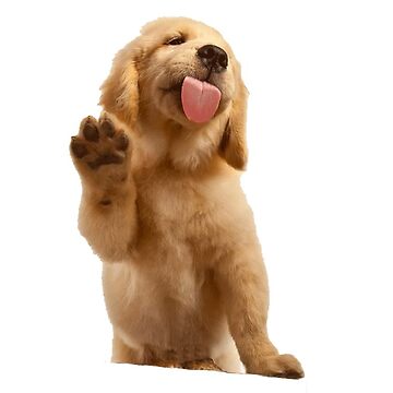 Artwork thumbnail, Golden Retriever by tffindlay