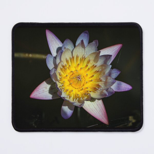Item preview, Pink and Purple Lotus Flower designed and sold by amandaryan-.