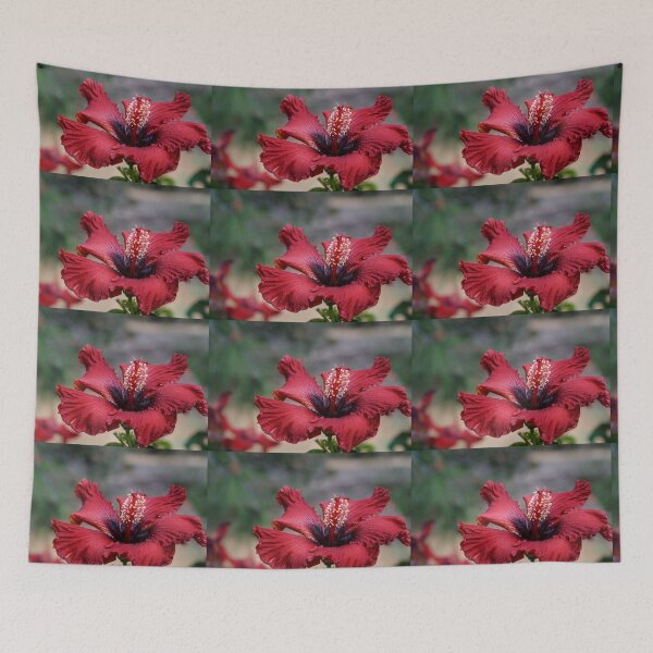 Item preview, Red Hibiscus designed and sold by RGKphotos.
