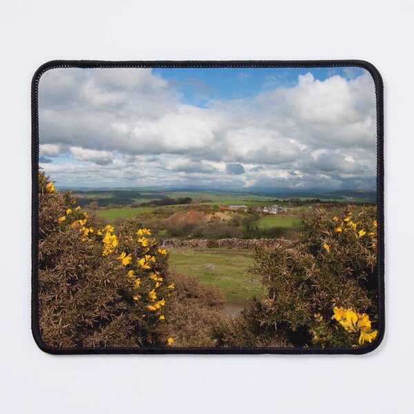 Item preview, Gorse & Sky designed and sold by hawkie.