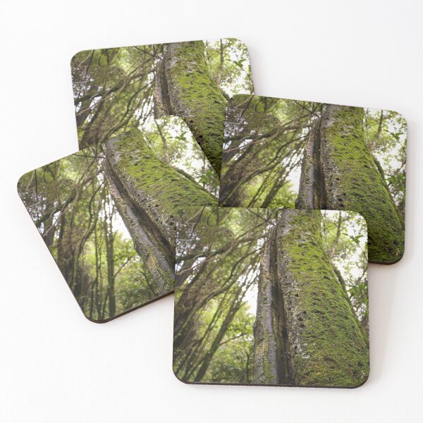 Item preview, Mossy Kahikatea in the Forest designed and sold by amandaryan-.