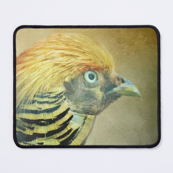 Item preview, Golden Pheasant Portrait designed and sold by Elisabeth Lucas.