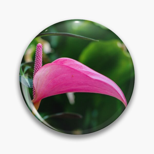 Item preview, Pink Flamingo Lily Flower designed and sold by amandaryan-.