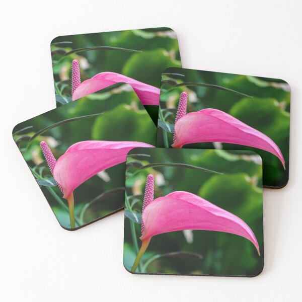 Item preview, Pink Flamingo Lily Flower designed and sold by amandaryan-.