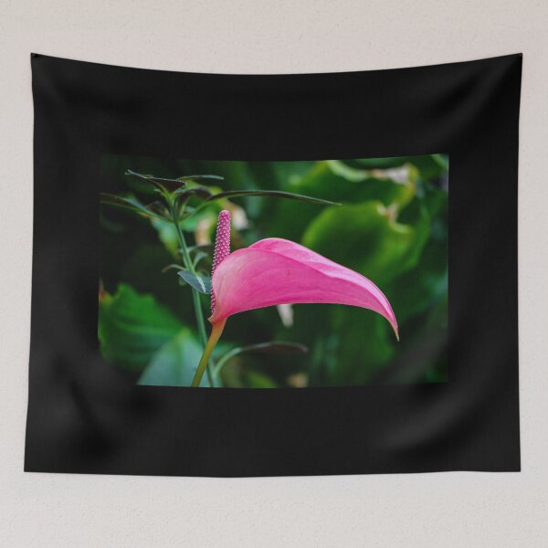Item preview, Pink Flamingo Lily Flower designed and sold by amandaryan-.