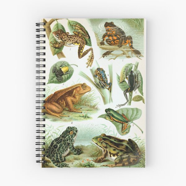 Item preview, Vintage Frogs Study designed and sold by WeFLVintage.