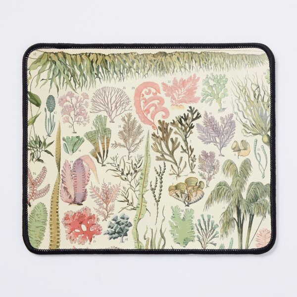Item preview, Adolphe Millot algues designed and sold by wetdryvac.