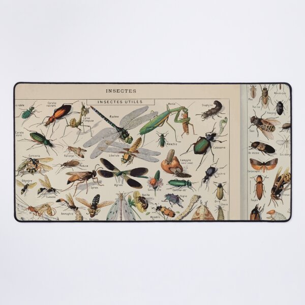 Item preview, Adolphe Millot insectes designed and sold by wetdryvac.