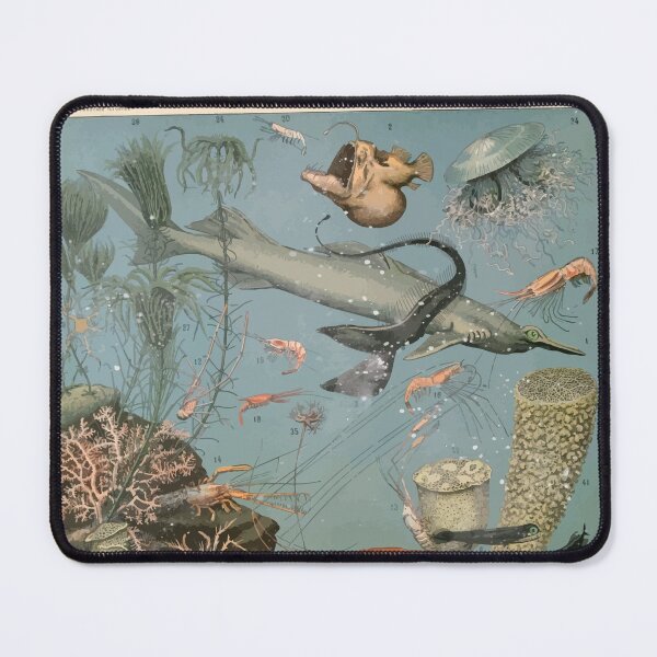 Item preview, Adolphe Millot ocean A designed and sold by wetdryvac.