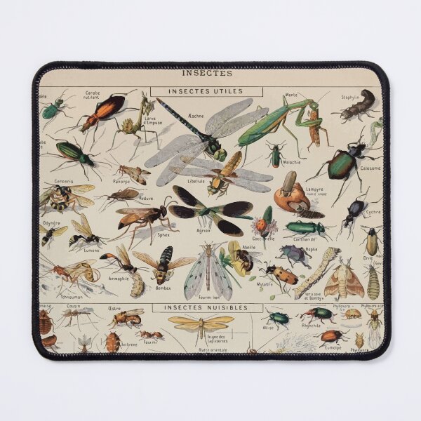 Item preview, Adolphe Millot insectes designed and sold by wetdryvac.