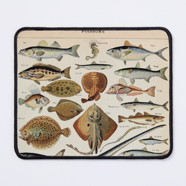 Item preview, Adolphe Millot poissons pour tous designed and sold by wetdryvac.