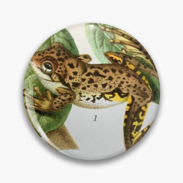Artikelvorschau, Vintage Frosch-Illustration entworfen und verkauft von WeFLVintage.