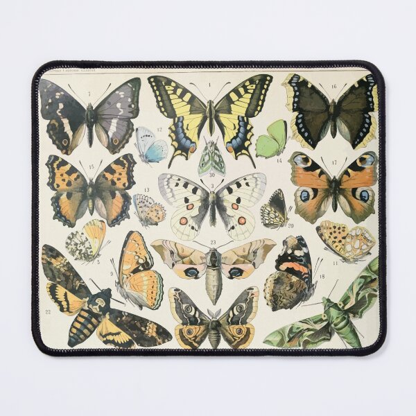 Item preview, Adolphe Millot papillons A designed and sold by wetdryvac.