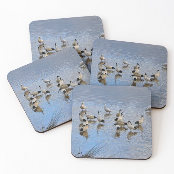 Item preview, Australian ibis and spoonbills designed and sold by FranWest.