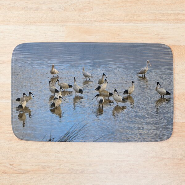 Item preview, Australian ibis and spoonbills designed and sold by FranWest.