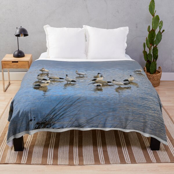 Item preview, Australian ibis and spoonbills designed and sold by FranWest.