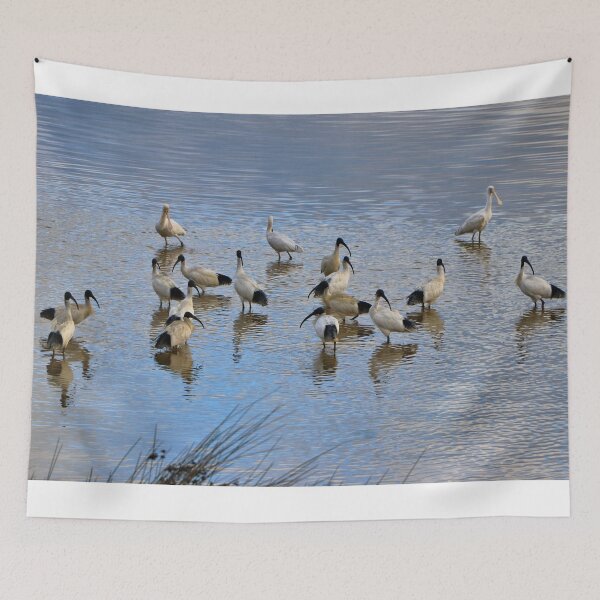 Item preview, Australian ibis and spoonbills designed and sold by FranWest.