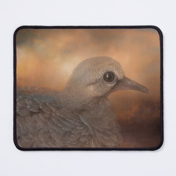 Item preview, Young Mourning Dove designed and sold by Elisabeth Lucas.