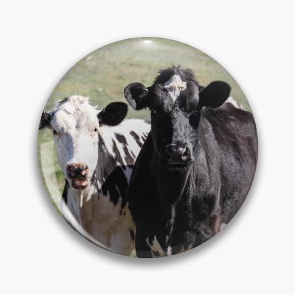 Item preview, "You gotta pay us if you want a photo!" designed and sold by heatherfriedman.