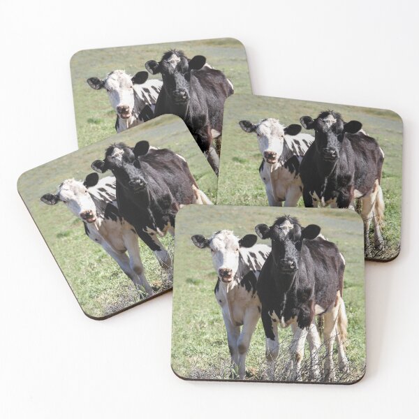 Item preview, "You gotta pay us if you want a photo!" designed and sold by heatherfriedman.