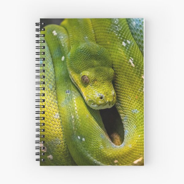 Artikelvorschau, Grüner Baum Python, Australien entworfen und verkauft von Andrew Goodall.