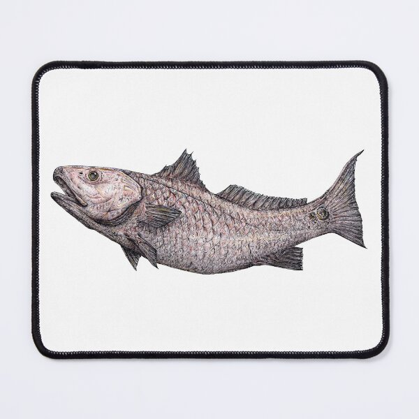 Item preview, Redfish (No Background) designed and sold by JAX-Designs.
