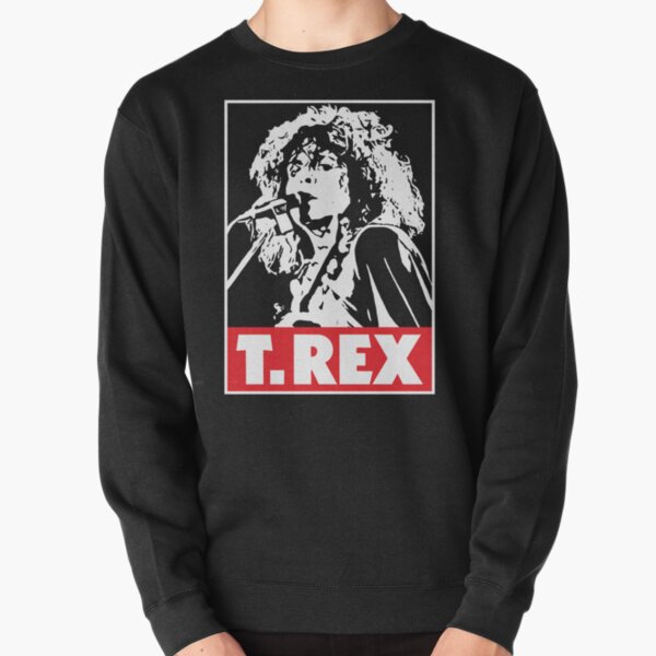 Classic discount rock sweatshirts